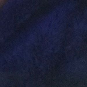 Meet your Posher, Chevi